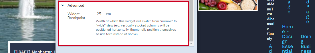 widget options advanced