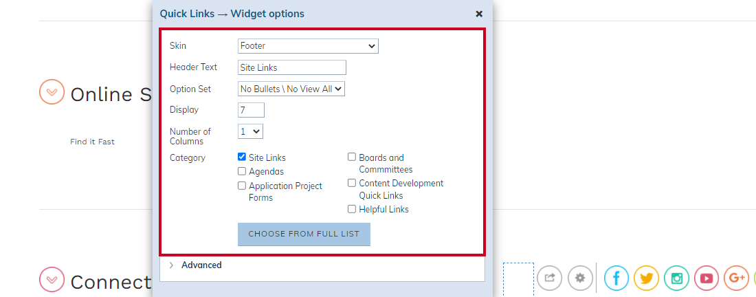 widget options