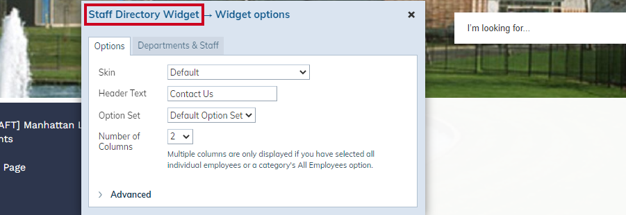 widget name