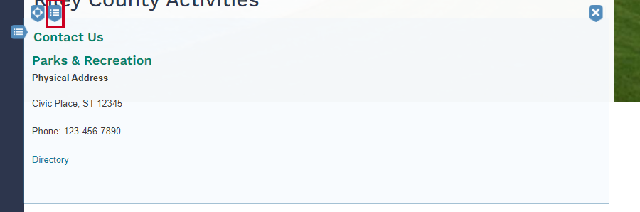 widget options button