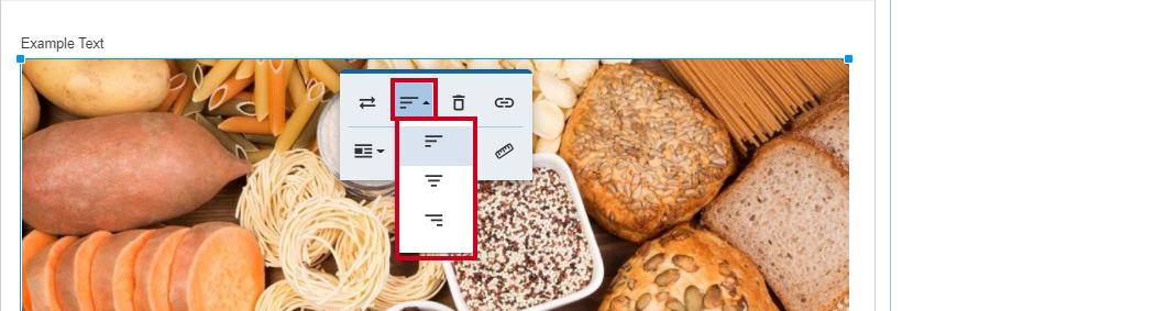 Image Options toolbar, Align dropdown menu with Left, Right, and Center options.
