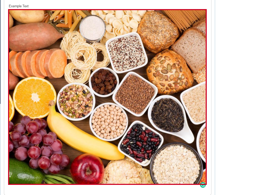 Clicking on your inserted image will bring up the Image Options toolbar.