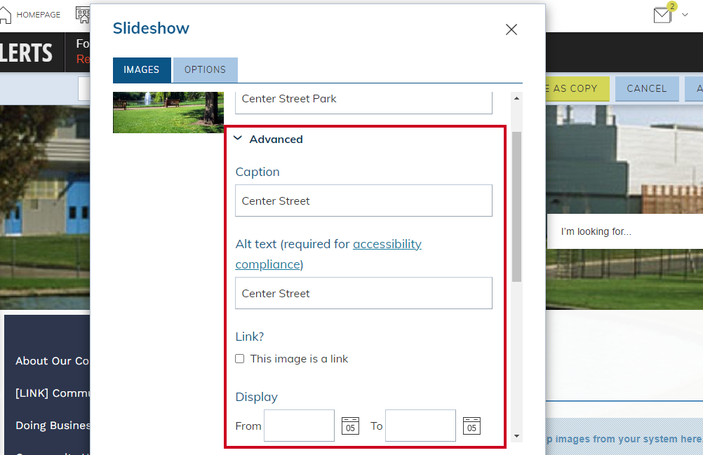 advanced image options.