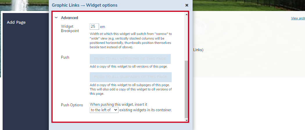 advanced widget options
