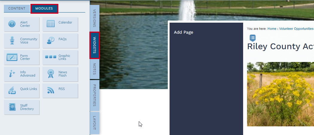 widgets, tab modules