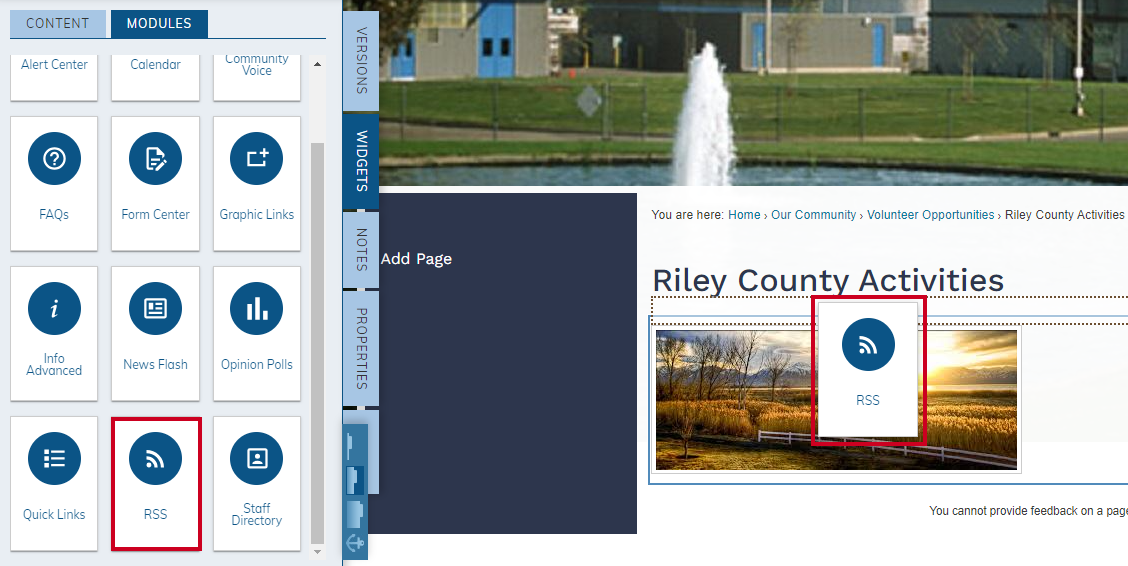 drag-and-drop RSS widget to page content area.