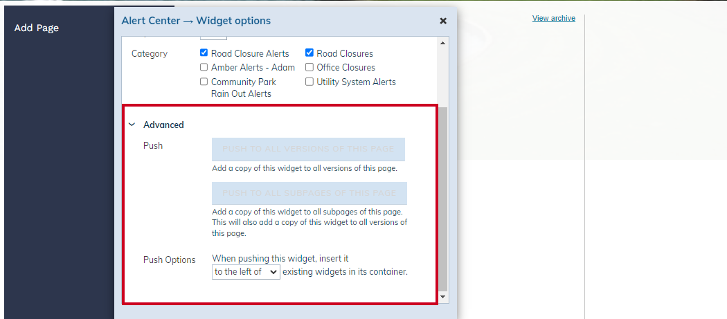 advanced widget options