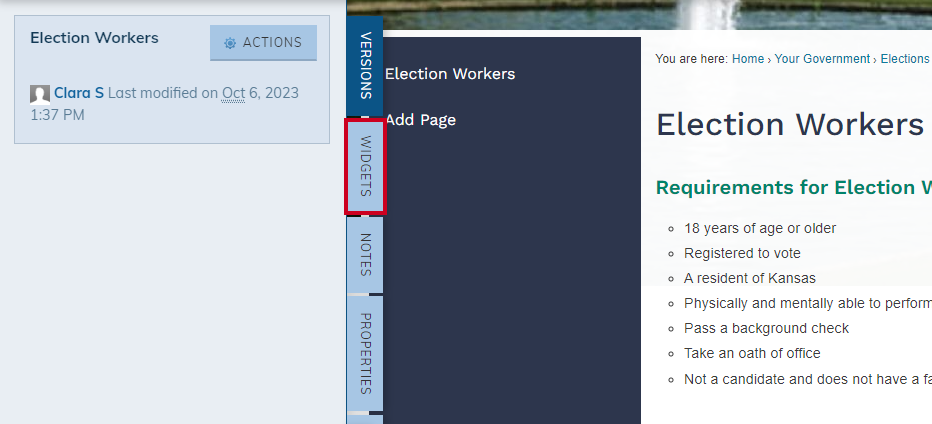 Widgets tab.