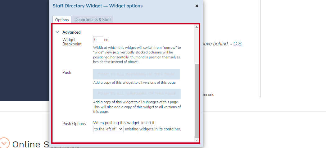 advanced widget options.