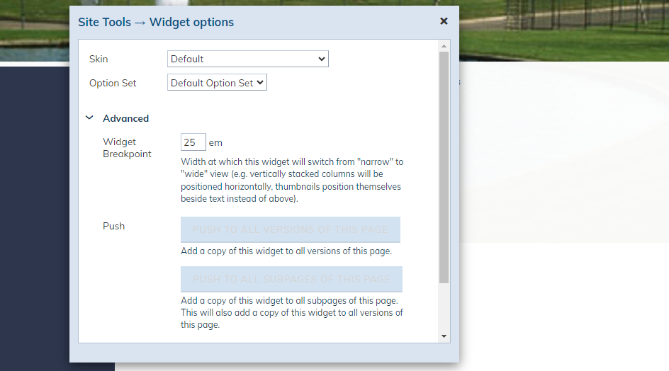 widget options fields.