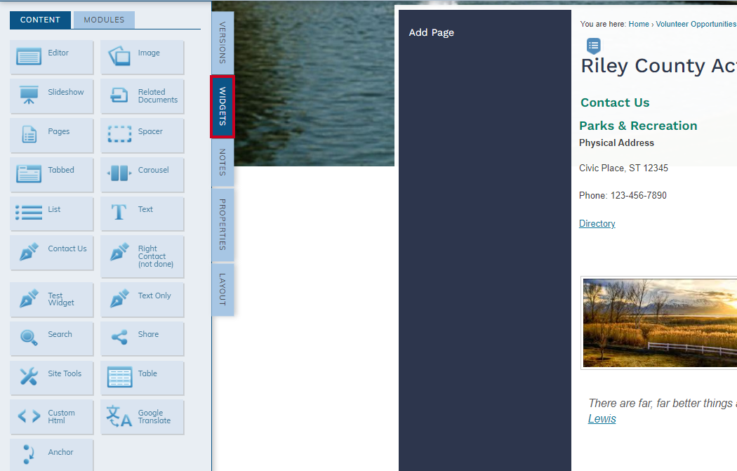 The widgets tab on the left-hand Live Edit options.