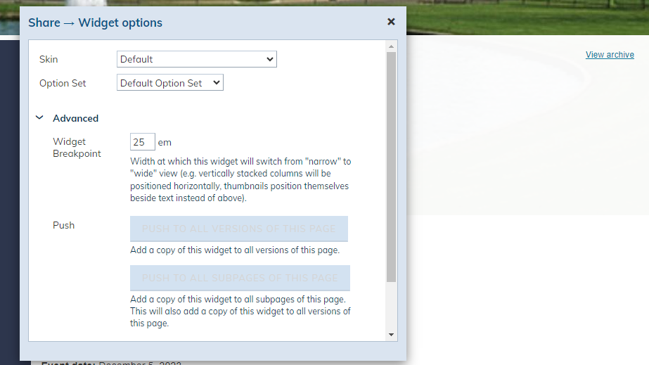 widget options.