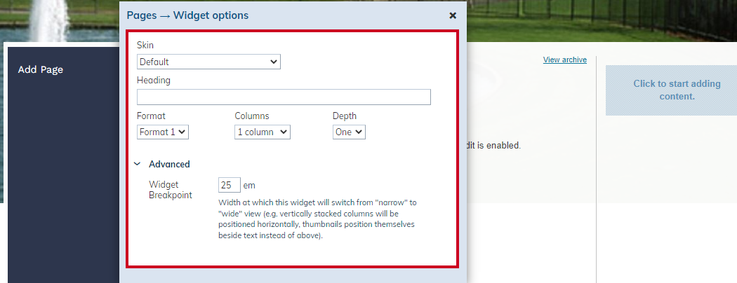 pages widget options.