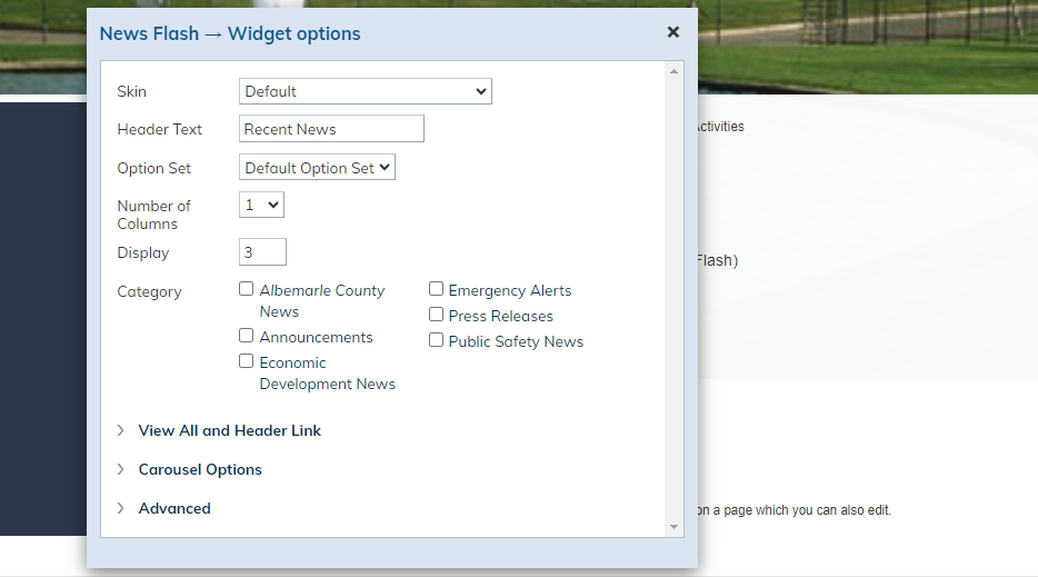 widget options