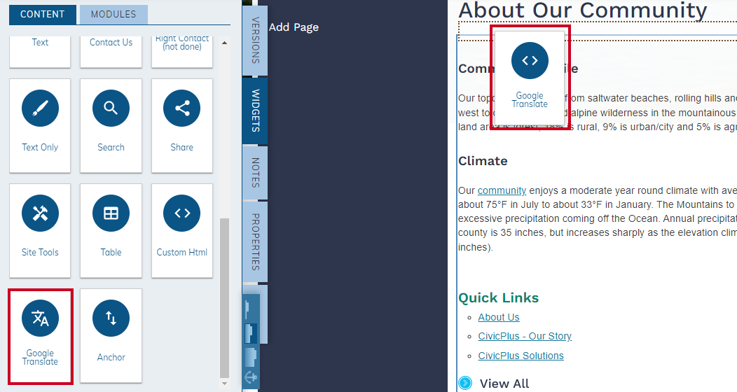 The Google Translate widget being placed on the page.
