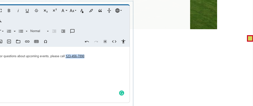 green checkbox