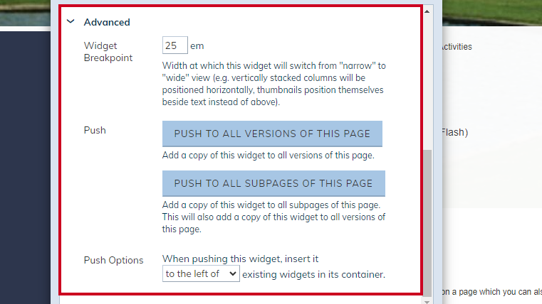 advanced widget options