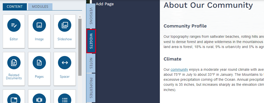 The widgets tab on the left-hand edit panel.