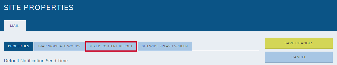 The mixed content report tab.