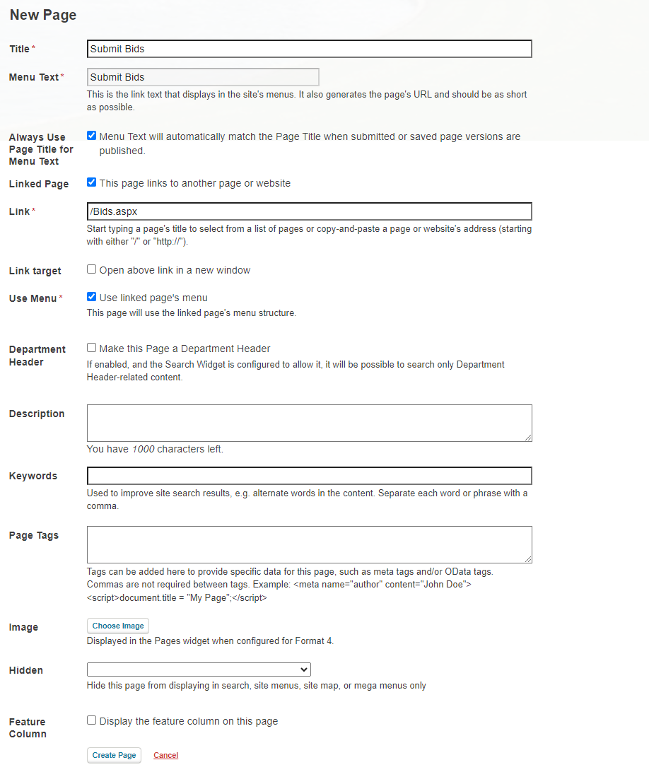 New page information fields.