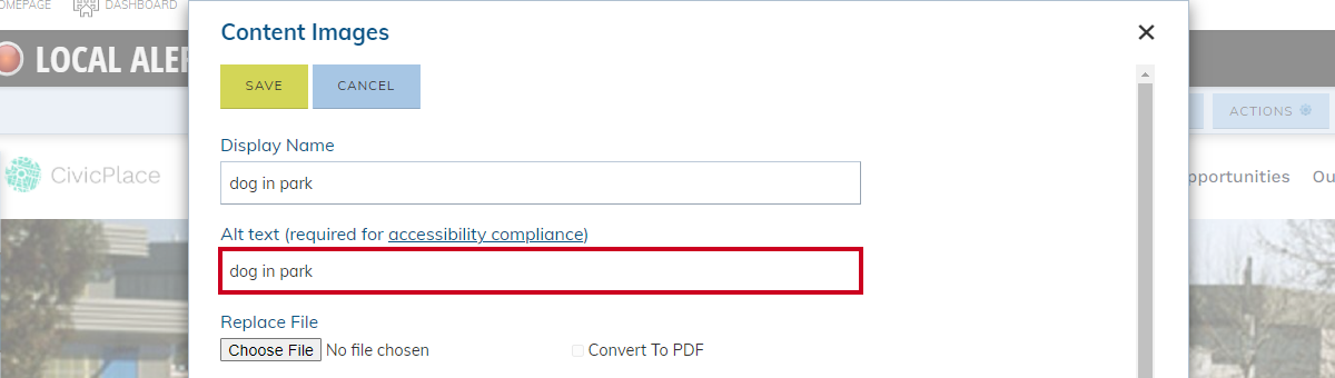 In the Content Images pop-up window, the required Alt text field is filled out with the words 'dog in park'.
