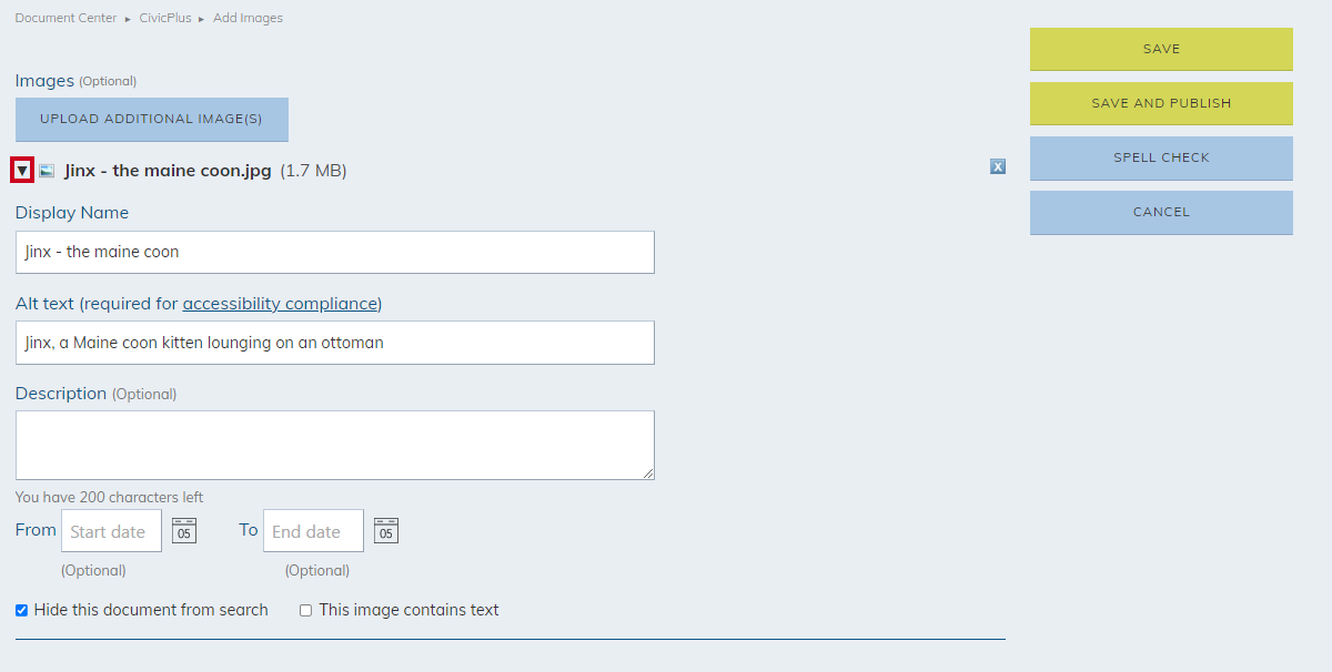 additional image configuration options triangle