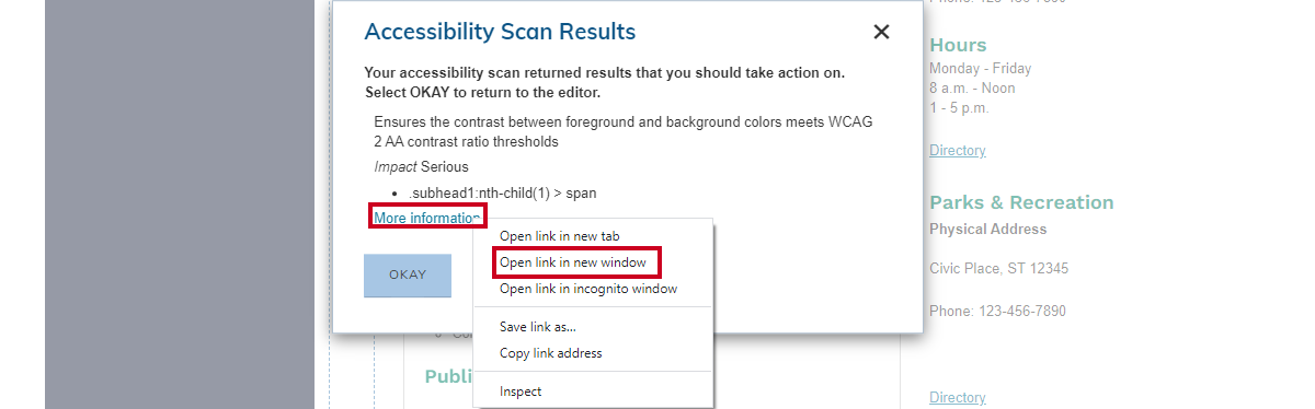 The More Information link can be used to find our more information about the errors listed in the Accessibility Scan Results message.