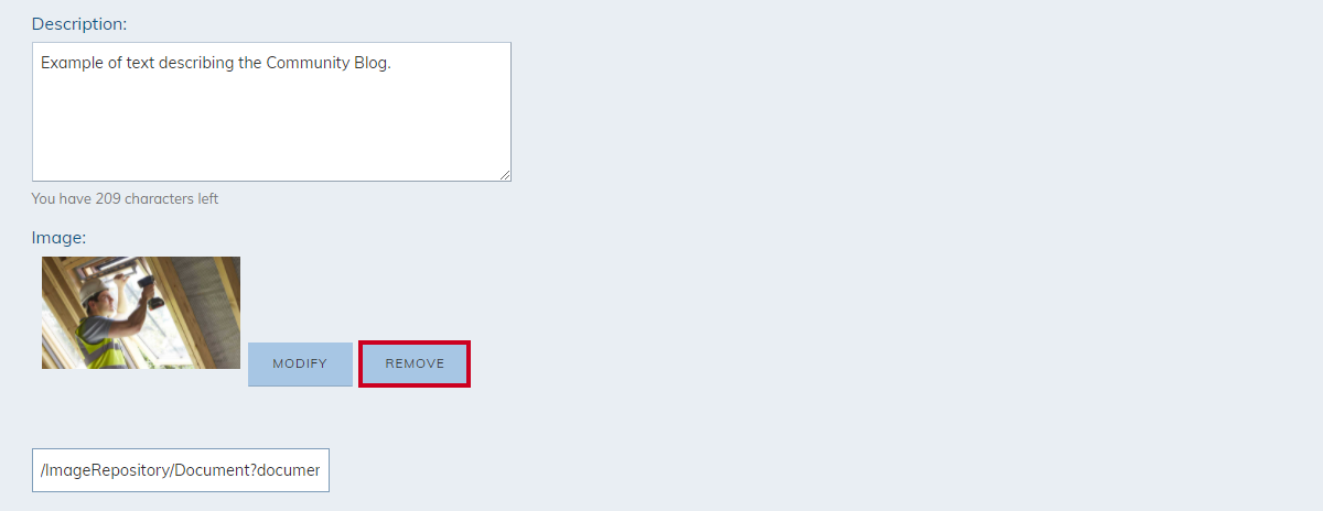 remove image button
