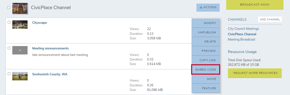 video actions menu, embed code