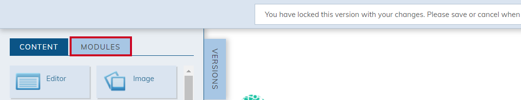 Select the Modules Tab at the top of the Widgets Tab