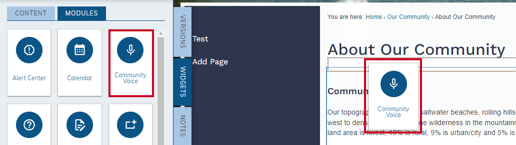 Click, drag, and drop the Community Voice module widget onto your page.