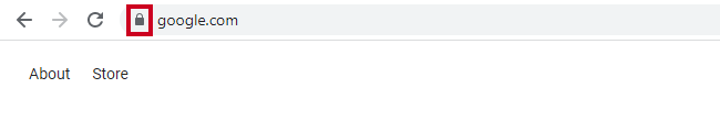 The Google Chrome View site information padlock icon to the left of the address bar.