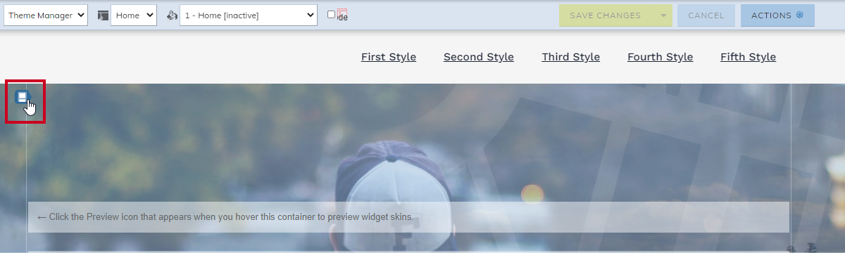 The Container Preview Options icon.