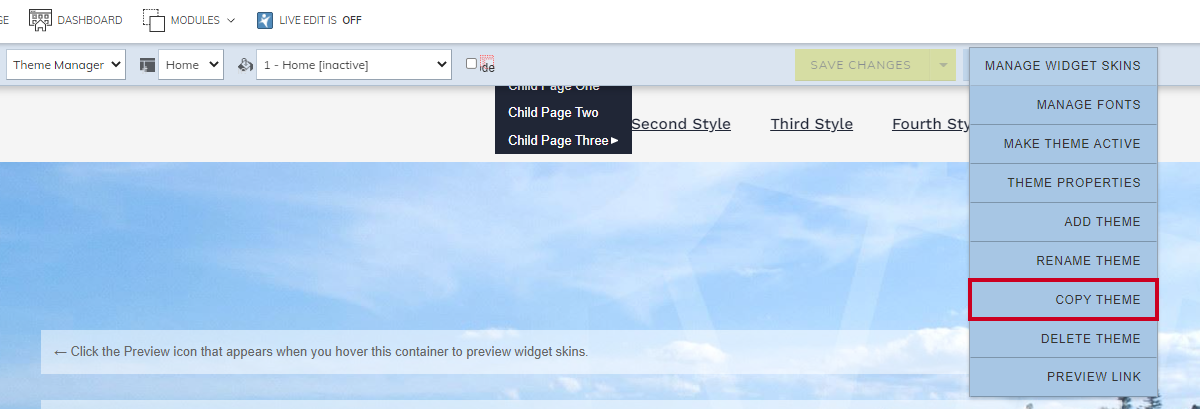 Theme manager action menu's copy theme option.