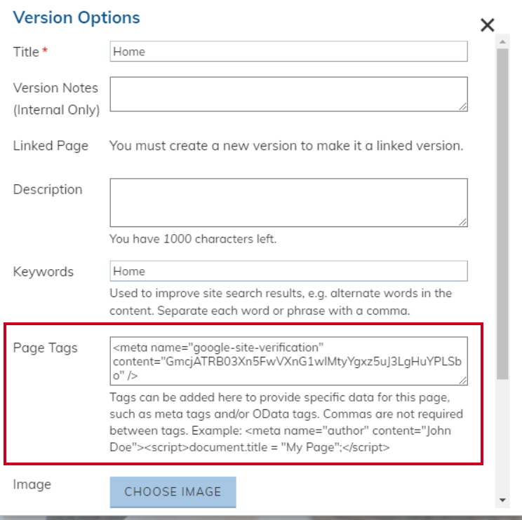 Paste_the_HTML_Tag_in_the_Page_Tags_of_the_Version_Options_settings.png