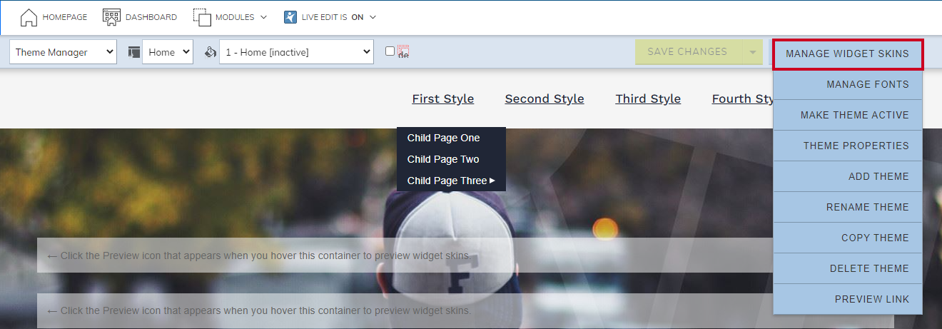 Select Manage Widget Skins